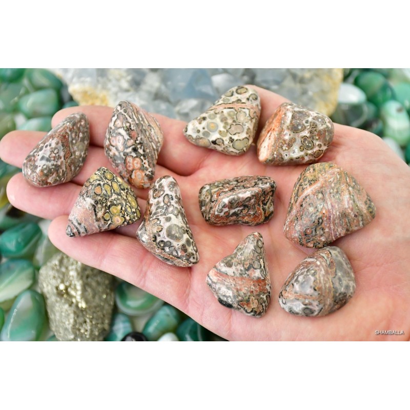 Jaspis leopardzi szlifowany 14 - 21 g - Kamienie naturalne - Sklep Shamballa