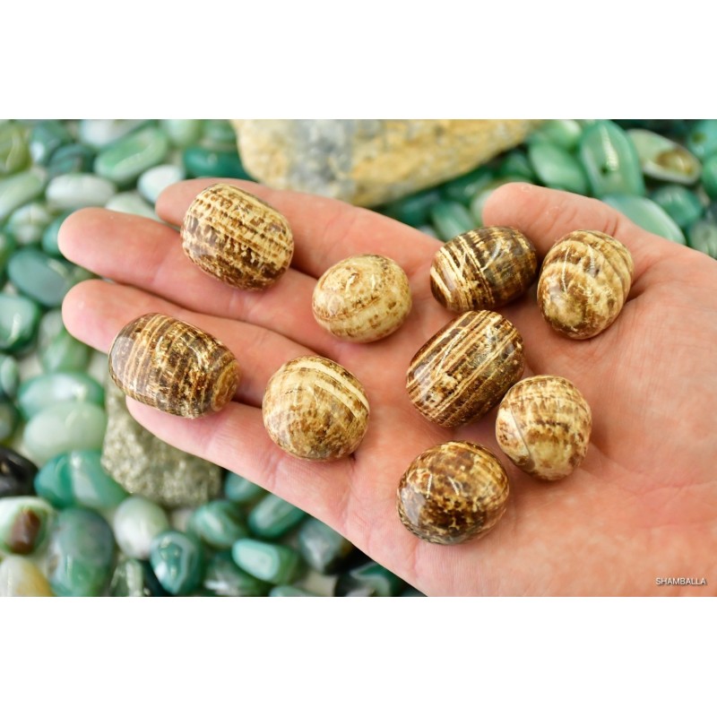 Jaspis obrazkowy szlifowany 15 - 30 g - Kamienie naturalne - Sklep Shamballa