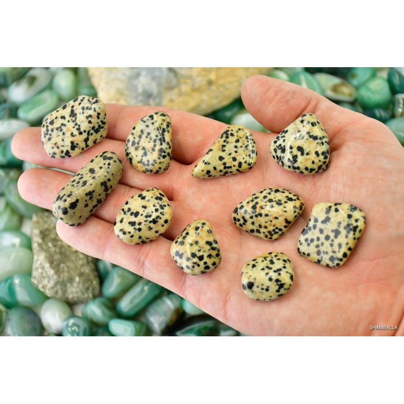 Jaspis Dalmatyńczyk szlifowany 2 - 14 g - Kamienie naturalne - Sklep Shamballa