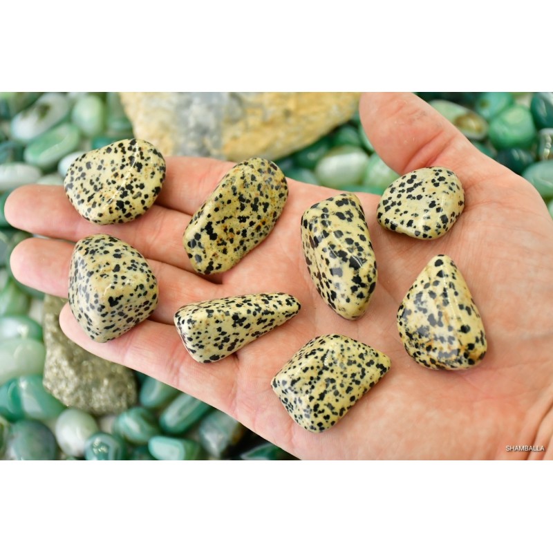 Jaspis Dalmatyńczyk szlifowany 16 - 32 g - Kamienie naturalne - Sklep Shamballa