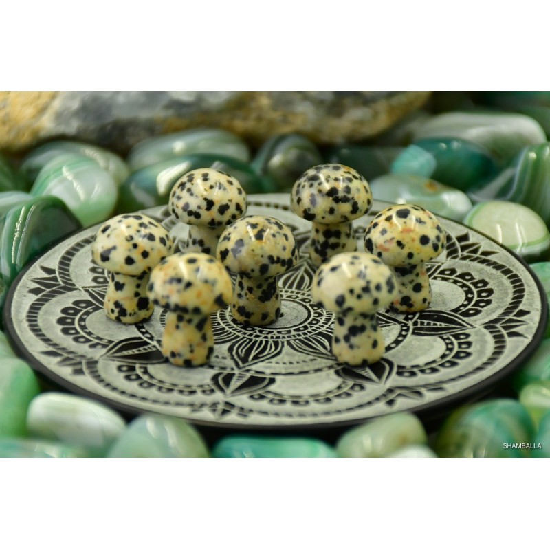 Jaspis dalmatyńczyk grzybek - Kamienie naturalne - Sklep Shamballa