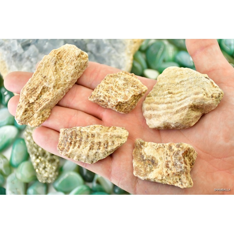 Brązowy aragonit surowy 22 - 60 g - Kamienie naturalne - Sklep Shamballa