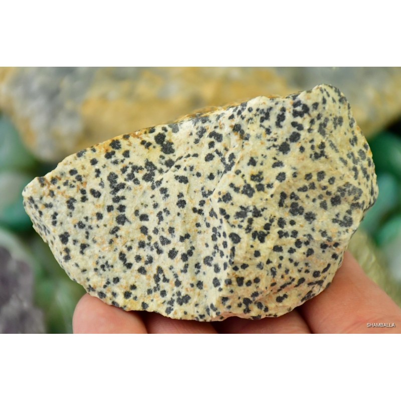 Jaspis Dalmatyńczyk surowy okaz 197 g - Kamienie naturalne - Sklep Shamballa