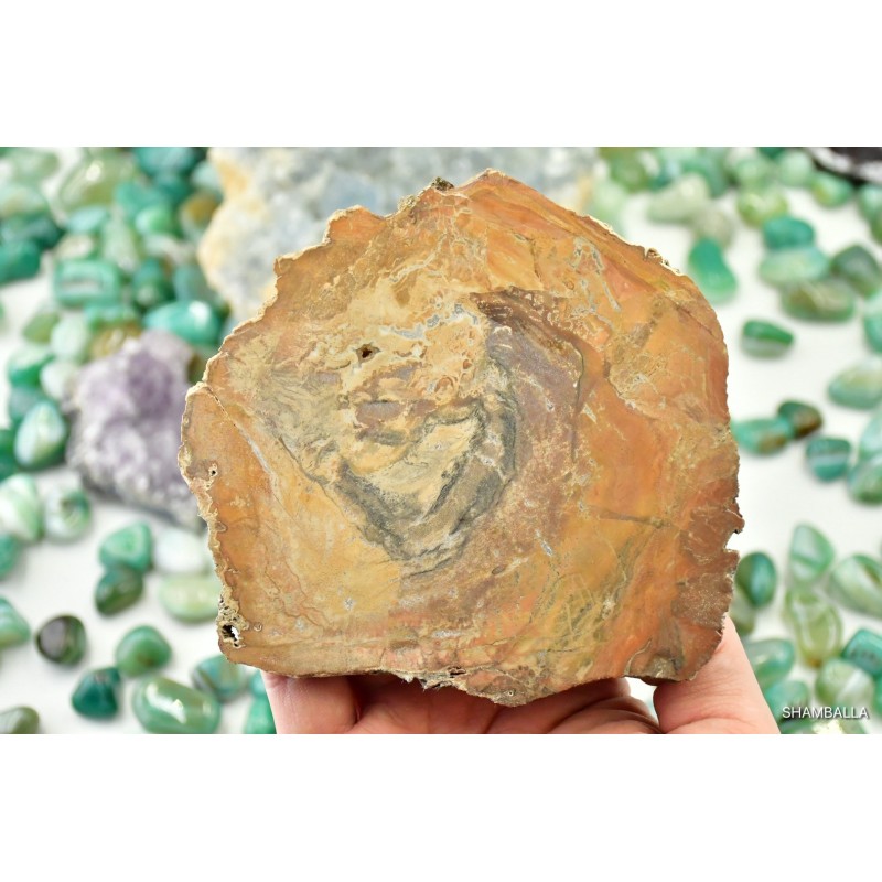 Skamieniałe drewno plaster okaz 268 g - Kamienie naturalne - Sklep Shamballa
