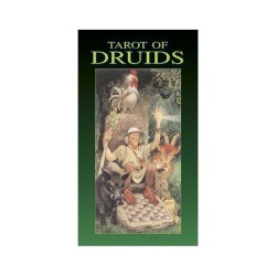 Tarot of Druids - Karty do wróżenia - Sklep Shamballa